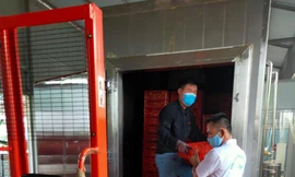 Nhật Bản cấp phép thêm 2 cơ sở khử khuẩn vải thiều tại Hải Dương