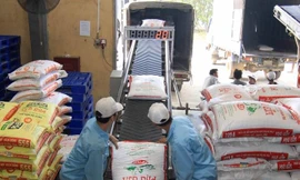 Thanh tra 'lãi khủng' của doanh nghiệp để kiểm soát giá thức ăn chăn nuôi