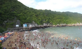 Tạm dừng đưa khách du lịch ra Cát Bà