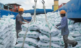 Doanh nghiệp lúa gạo làm ăn thất bát, đua nhau báo lỗ 