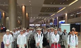 Mở cửa trở lại, lao động Việt ra nước ngoài tăng đột biến