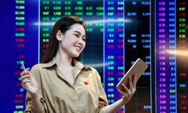 Chứng khoán lập kỷ lục lịch sử 