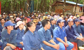 Gần 1,5 triệu lao động không về quê đón Tết