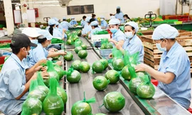 4 tháng, xuất khẩu nông sản Việt Nam đạt hơn 17 tỷ USD 