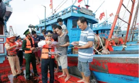 Vì sao Tổng cục Thủy sản kiến nghị giám sát trách nhiệm 28 chủ tịch tỉnh? 