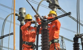 Đề xuất quy định đánh giá lại tài sản tại công ty con của EVN