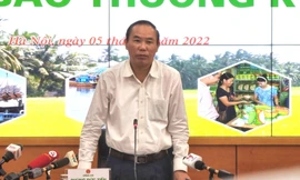 Lợn chết hàng loạt sau khi tiêm vắc xin dịch tả châu Phi, Bộ Nông nghiệp nói gì?