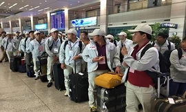 Lao động Việt Nam mang thịt lợn trái phép sang Hàn Quốc bị phạt 200 triệu đồng