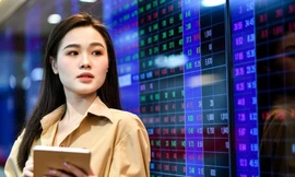 Chứng khoán đột ngột giảm 80 điểm rồi hồi phục, liệu đã tạo đáy?