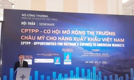 Xuất khẩu của Việt Nam sang các nước CPTPP tăng vọt