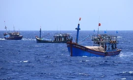 Tìm kiếm 3 tàu cá với 23 thuyền viên đang mất liên lạc trên biển Đông