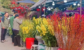 Giá hoa tăng cao do người dân tấp nập đi lễ 