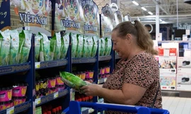 Vì sao gạo Việt phải ‘thay tên đổi họ’ khi xuất ra nước ngoài?