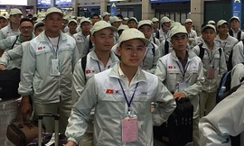 Hàn Quốc gia hạn cư trú cho lao động Việt Nam chưa thể về nước
