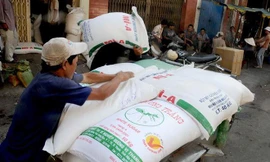 Điều tra đường Thái Lan 'rửa nguồn' nhập vào Việt Nam để né thuế