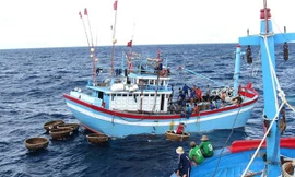 Xử nghiêm tình trạng khai thác thủy sản trái phép, không để bị áp "thẻ đỏ"