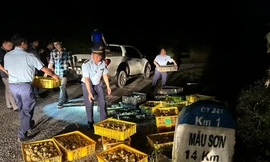 Buôn lậu gia cầm qua biên giới tăng đột biến 