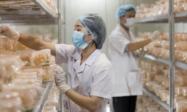 Doanh nghiệp gặp khó vì 2 Bộ ‘bao sân’ 1 mặt hàng