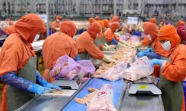 Thịt gà Việt Nam sắp được xuất khẩu Singapore