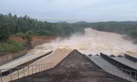 Hồ thủy lợi lớn nhất Nghệ An bị tố xả lũ bất thường, Bộ Nông nghiệp nói gì?