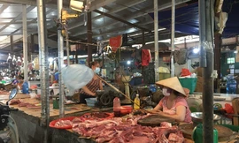 Sắp vào cao điểm Tết, vì sao giá thịt lợn ‘rơi’ tự do?