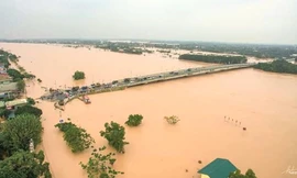 Mực nước sông Hồng, sông Thái Bình lên báo động 3, nguy cơ lũ lớn
