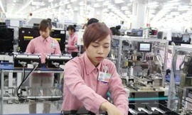 Việt Nam nhập siêu 2,6 tỷ USD trong nửa tháng 