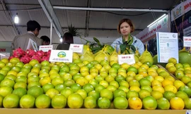 Xuất khẩu rau, quả có thể cán mốc 3,5- 4 tỷ USD năm nay 