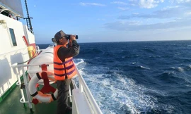 Bộ Nông nghiệp đề nghị các địa phương cấp tốc lập lực lượng Kiểm ngư