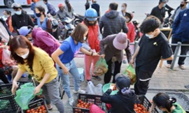 Bộ Nông nghiệp chỉ đạo tiêu thụ nông sản khi nhiều nơi phong tỏa vì dịch COVID-19