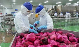 7 sản phẩm nông, lâm, thủy sản xuất khẩu tỷ USD