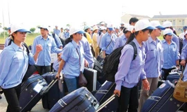 Đài Loan khoan hồng cho lao động 'chui' nước ngoài tự thú về nước