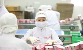 Thông tin mới nhất vụ mỳ Hảo Hảo chứa chất cấm