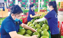 Trung Quốc tăng mạnh nhập khẩu hàng Việt Nam