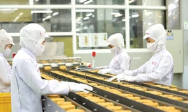 Hàng loạt mỳ ăn liền Việt Nam xuất sang EU bị phát hiện chứa chất cấm