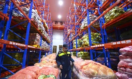 Siêu trung tâm liên kết sản xuất, chế biến nông sản của vùng ĐBCSL có gì?