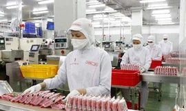 Việt Nam nhận được cảnh báo của EU về mỳ tôm Hảo Hảo chứa chất cấm