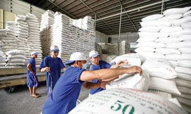 Giá lúa gạo thất thường, Bộ Công Thương lập đoàn kiểm tra 