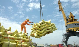 Giá gạo Việt tăng mạnh, dự báo lập kỷ lục xuất khẩu 4 tỷ USD