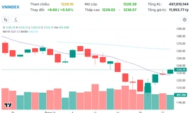 VN-Index hồi 6 điểm, cổ phiếu điện nổi sóng