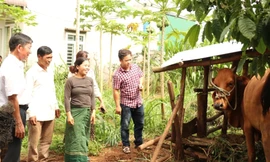 Việt Nam xếp thứ 14 về tài chính toàn diện nhưng người yếu thế vẫn khó tiếp cận vốn