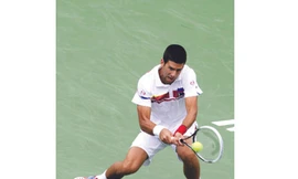 Djokovic phi thường
