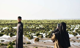 Tận thấy bãi rêu xanh 4 km 'cực chill' ở Ninh Thuận