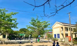 Chỉ đạo nóng vụ lùm xùm sửa khuôn viên trường