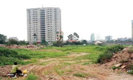 Bị thu hồi 31ha đất chậm triển khai, Bitexco 'đòi' thanh toán phí lập quy hoạch