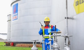 PVN giữ vững tăng trưởng trong bối cảnh giá dầu giảm