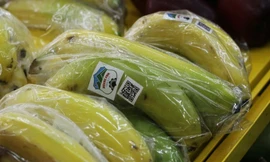 Trái cây mang về gần 3.000 tỷ đồng cho Bầu Đức