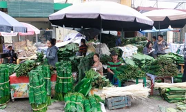 Tết sắp đến nơi, chợ lá dong lâu đời của Thủ đô vẫn đìu hiu