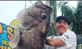 Câu được "siêu cá" to khủng khiếp ngoài khơi nước Mỹ