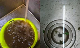 Mới chớm hè, cả chung cư phải dùng nước sinh hoạt như ‘nước cống’
